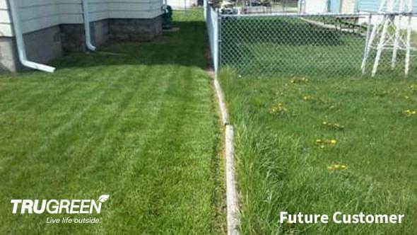 GreenYard Difference - Sample Lawn 2